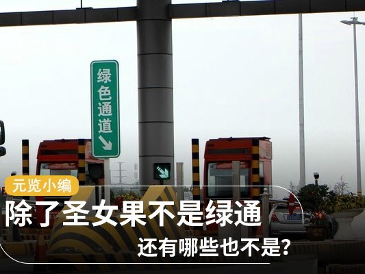 j9九游国际真人科普：除了圣女果不是绿通 还有哪些也不是？